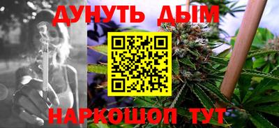СК Новокубанск